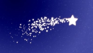 Christmas star